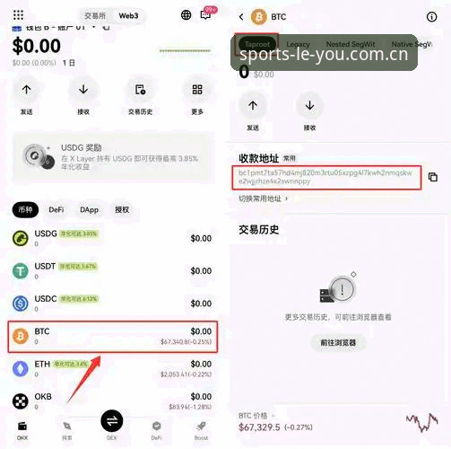 乐游体育掌上触达实用指南：从下载到安装的必备知识